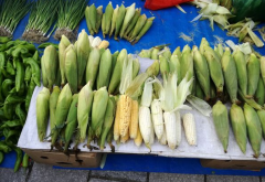 細(xì)節(jié)決定農(nóng)貿(mào)市場改造實施的成敗